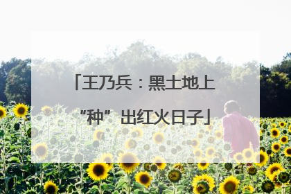 王乃兵：黑土地上“种”出红火日子