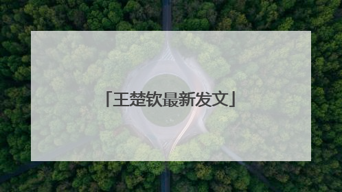 王楚钦最新发文