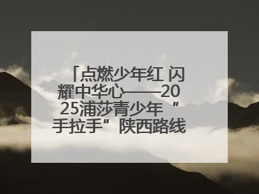 点燃少年红 闪耀中华心——2025浦莎青少年“手拉手”陕西路线丝路续新章