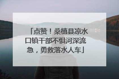 点赞！桑植县凉水口镇干部不惧河深流急，勇救落水人车