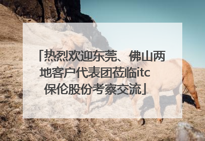 热烈欢迎东莞、佛山两地客户代表团莅临itc保伦股份考察交流