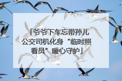 爷爷下车忘带孙儿 公交司机化身“临时照看员”暖心守护