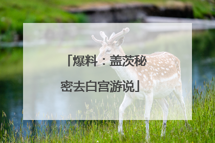 爆料：盖茨秘密去白宫游说