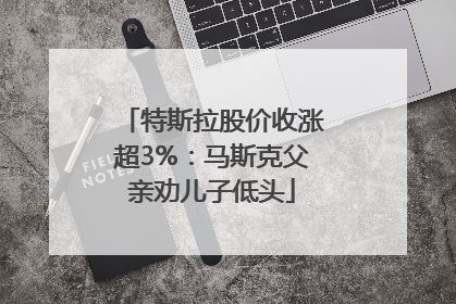 特斯拉股价收涨超3%：马斯克父亲劝儿子低头
