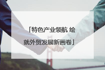 特色产业领航 绘就外贸发展新画卷