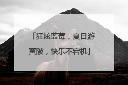 狂炫蓝莓，夏日游黄陂，快乐不宕机