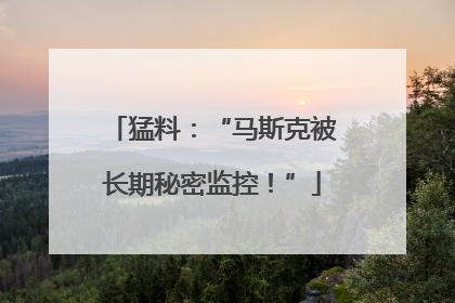 猛料：“马斯克被长期秘密监控！”