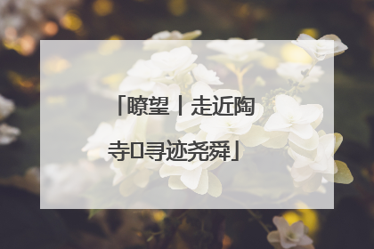 瞭望丨走近陶寺 寻迹尧舜