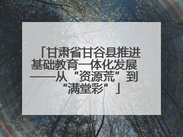 甘肃省甘谷县推进基础教育一体化发展——从“资源荒”到“满堂彩”