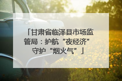 甘肃省临泽县市场监管局：护航“夜经济” 守护“烟火气”