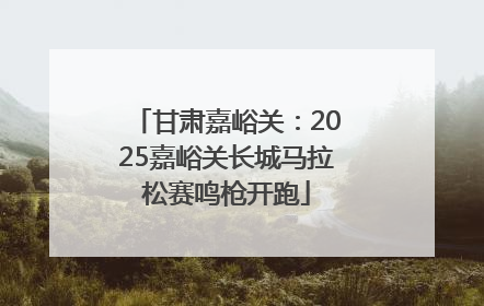 甘肃嘉峪关：2025嘉峪关长城马拉松赛鸣枪开跑