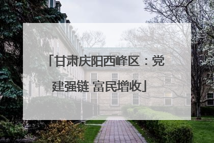 甘肃庆阳西峰区：党建强链 富民增收