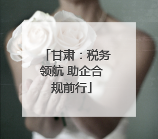 甘肃：税务领航 助企合规前行