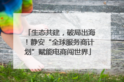 生态共建，破局出海！静安“全球服务商计划”赋能电商闯世界