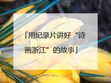 用纪录片讲好“诗画浙江”的故事