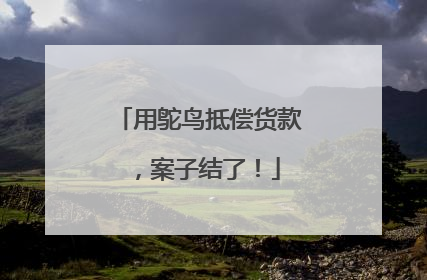 用鸵鸟抵偿货款，案子结了！