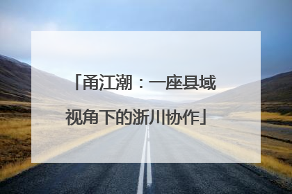 甬江潮：一座县域视角下的浙川协作
