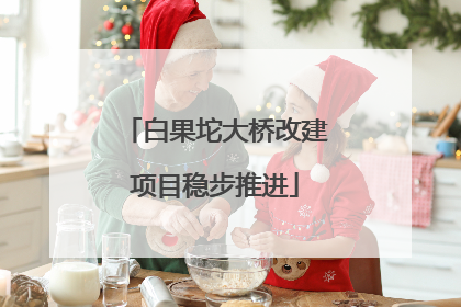 白果坨大桥改建项目稳步推进