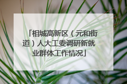 相城高新区（元和街道）人大工委调研新就业群体工作情况