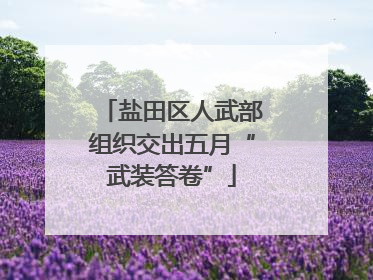 盐田区人武部组织交出五月“武装答卷”
