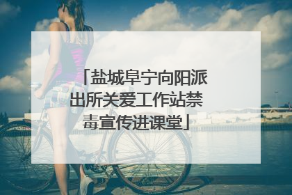 盐城阜宁向阳派出所关爱工作站禁毒宣传进课堂