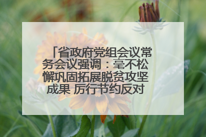 省政府党组会议常务会议强调：毫不松懈巩固拓展脱贫攻坚成果 厉行节约反对浪费弘扬优良作风