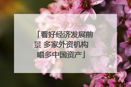 看好经济发展前景 多家外资机构唱多中国资产
