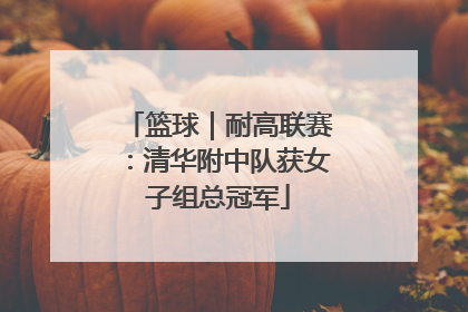 篮球｜耐高联赛：清华附中队获女子组总冠军