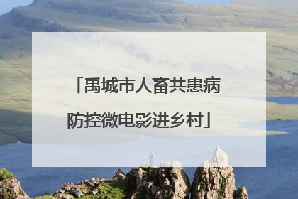 禹城市人畜共患病防控微电影进乡村