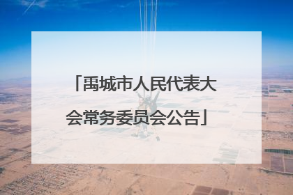 禹城市人民代表大会常务委员会公告