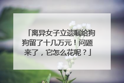 离异女子立遗嘱给狗狗留了十几万元！问题来了，它怎么花呢？