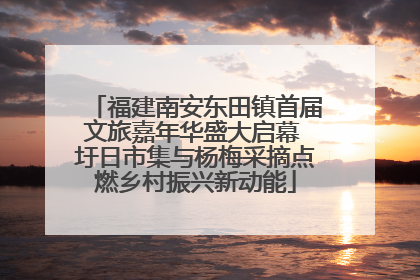 福建南安东田镇首届文旅嘉年华盛大启幕 圩日市集与杨梅采摘点燃乡村振兴新动能