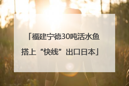 福建宁德30吨活水鱼搭上“快线”出口日本
