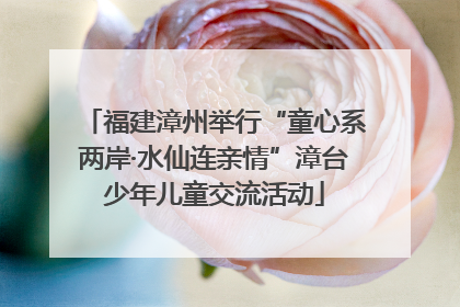 福建漳州举行“童心系两岸·水仙连亲情”漳台少年儿童交流活动