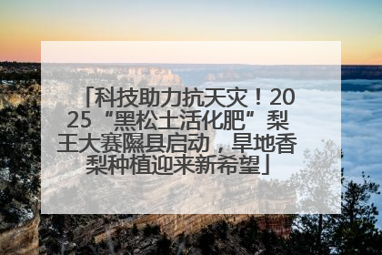 科技助力抗天灾！2025“黑松土活化肥”梨王大赛隰县启动，旱地香梨种植迎来新希望