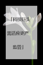 科技巨头需适应更严监管