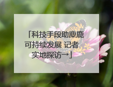 科技手段助麋鹿可持续发展 记者实地探访→