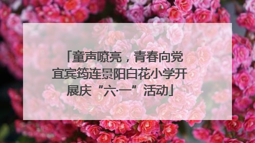 童声嘹亮，青春向党 宜宾筠连景阳白花小学开展庆“六·一”活动