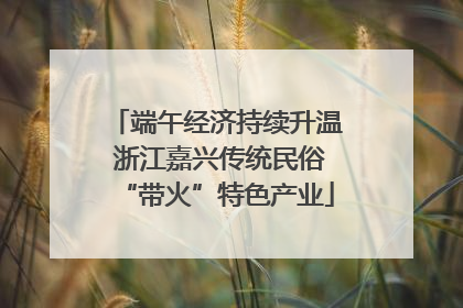 端午经济持续升温 浙江嘉兴传统民俗“带火”特色产业