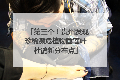 第三个！贵州发现珍稀濒危植物睡莲叶杜鹃新分布点