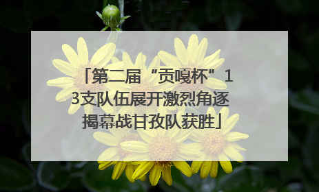 第二届“贡嘎杯”13支队伍展开激烈角逐 揭幕战甘孜队获胜