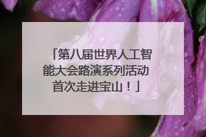 第八届世界人工智能大会路演系列活动首次走进宝山！