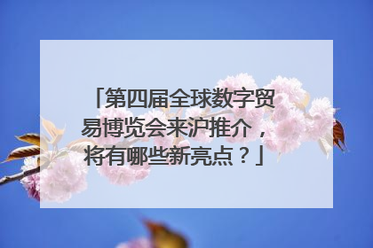 第四届全球数字贸易博览会来沪推介，将有哪些新亮点？