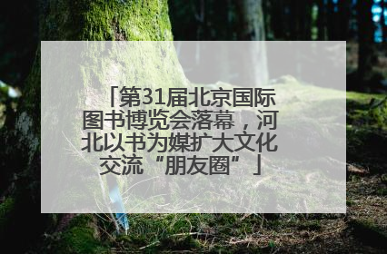 第31届北京国际图书博览会落幕，河北以书为媒扩大文化交流“朋友圈”