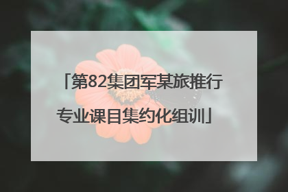 第82集团军某旅推行专业课目集约化组训