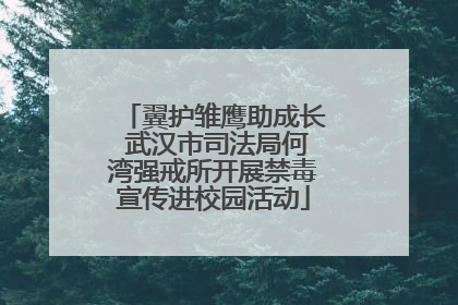 翼护雏鹰助成长 武汉市司法局何湾强戒所开展禁毒宣传进校园活动