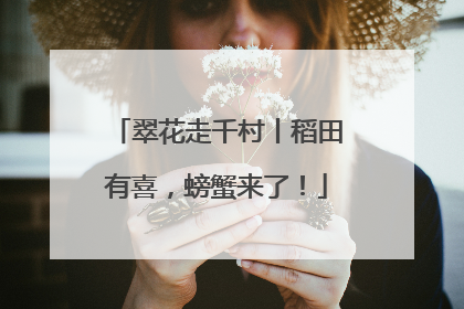 翠花走千村丨稻田有喜，螃蟹来了！