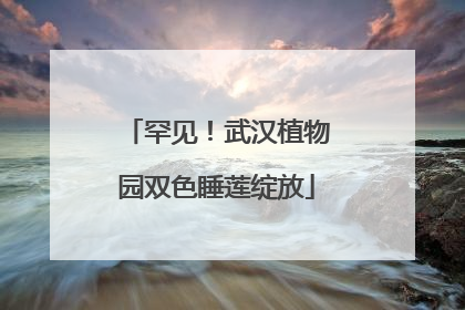 罕见！武汉植物园双色睡莲绽放