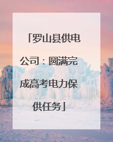 罗山县供电公司：圆满完成高考电力保供任务