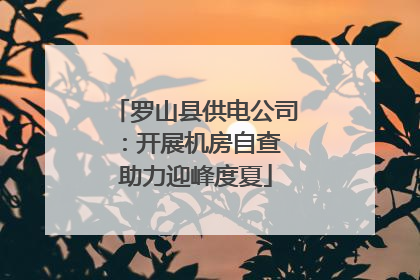 罗山县供电公司：开展机房自查 助力迎峰度夏